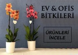 Buketler